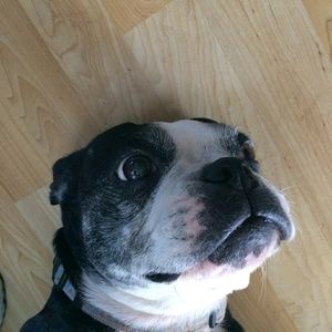 Meet your Posher, Edward